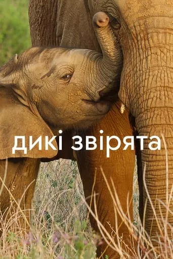 Серіал 'Дикі звірята' постер