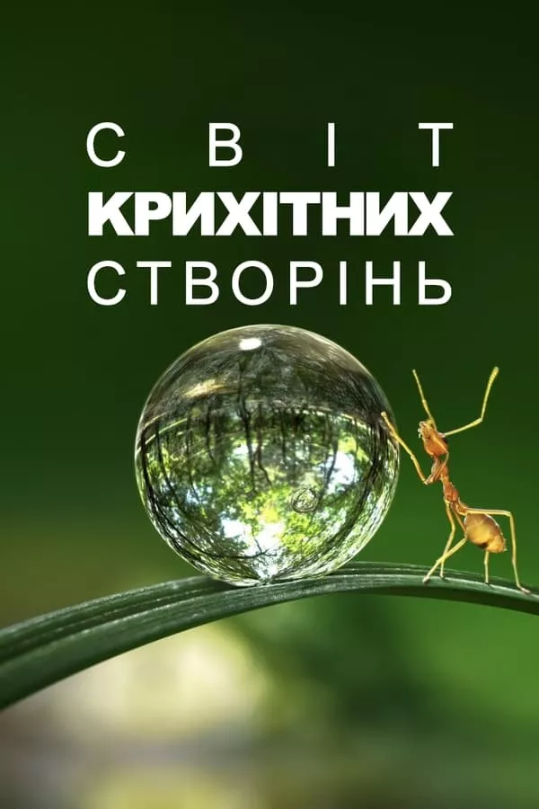 Серіал 'Крихітний світ' постер