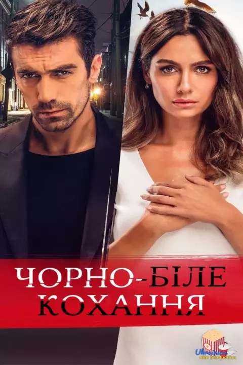 Серіал 'Чорно-біле кохання' постер