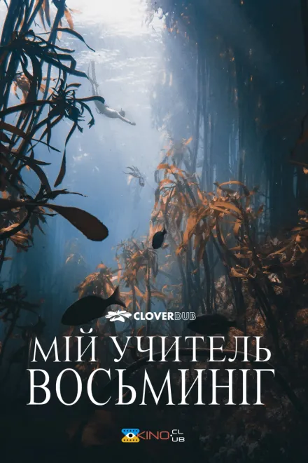 Фільм 'Мій учитель — восьминіг' постер